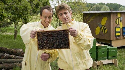 Bienen - Der Raub der Honigmacher Bienen - Der Raub der Honigmacher