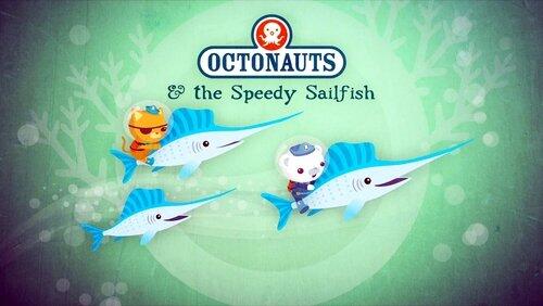 The Speedy Sailfish The Speedy Sailfish