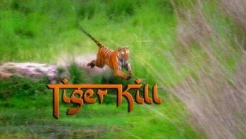Tiger KIll Tiger KIll