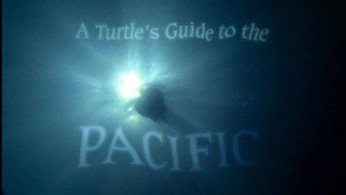 A Turtle's Guide to the Pacific A Turtle's Guide to the Pacific