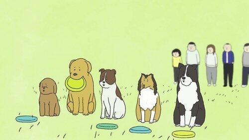 Dog Times Dog Times