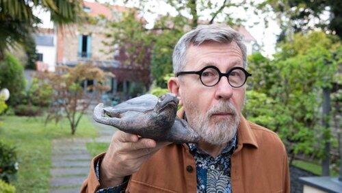 Tortues : des reptiles pas comme les autres Tortues : des reptiles pas comme les autres