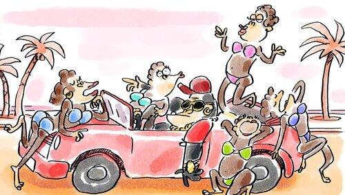 Évolution sexuelle de l'homme Évolution sexuelle de l'homme