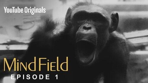 The Cognitive Tradeoff Hypothesis The Cognitive Tradeoff Hypothesis