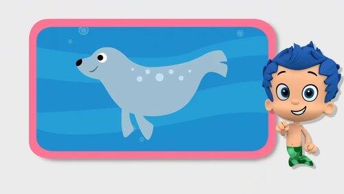 The New Guppy! The New Guppy!