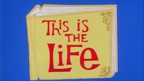 This is the Life This is the Life