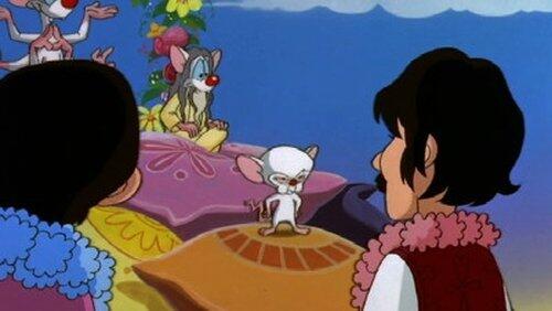 All You Need Is Narf All You Need Is Narf