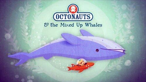 The Mixed-Up Whales The Mixed-Up Whales