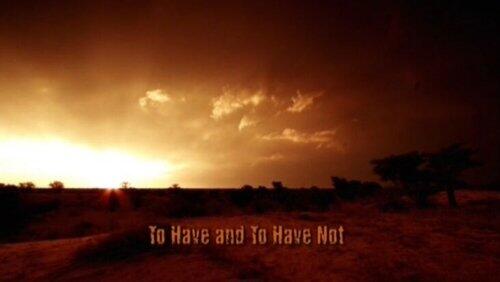 To Have and To Have Not To Have and To Have Not