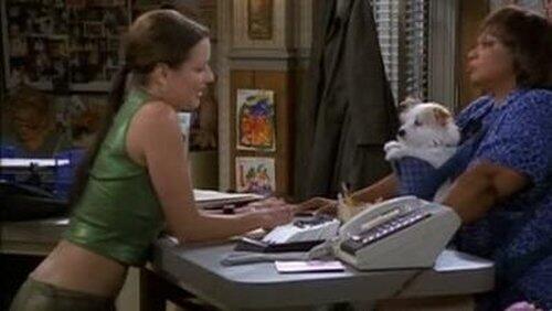 Dog Days Dog Days
