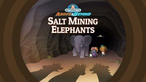 Salt-Mining Elephants Salt-Mining Elephants