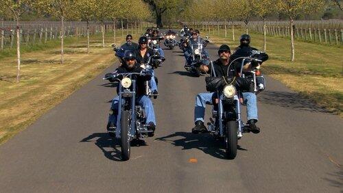 Wild Ones Wild Ones