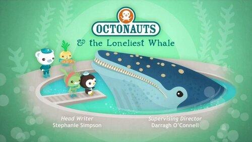 The Loneliest Whale The Loneliest Whale