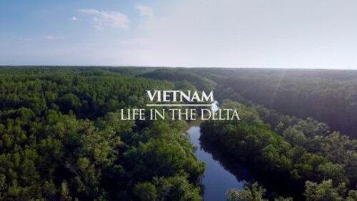 Vietnam: Life in the Delta Vietnam: Life in the Delta