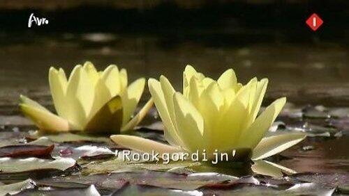 Rookgordijn Rookgordijn