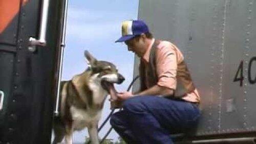 Trucker Trucker