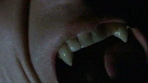 The Tale of Vampire Town The Tale of Vampire Town