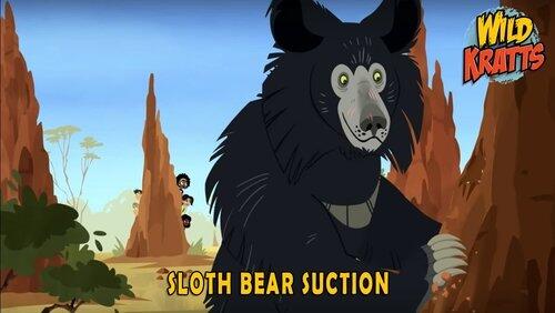 Sloth Bear Suction Sloth Bear Suction