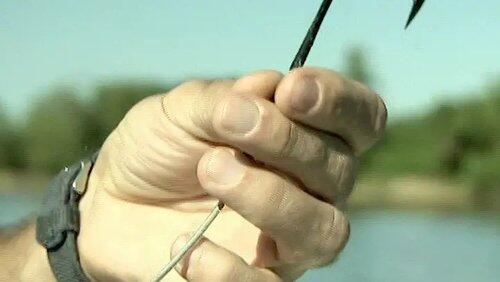 The Mutilator The Mutilator