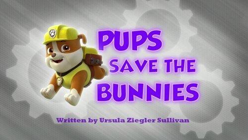 Pups Save the Bunnies Pups Save the Bunnies