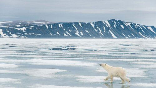 Svalbard Svalbard