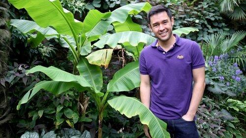 Lawns and Tropical Gardens Lawns and Tropical Gardens