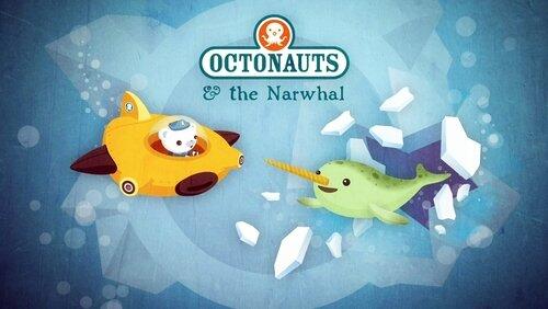 The Narwhal The Narwhal