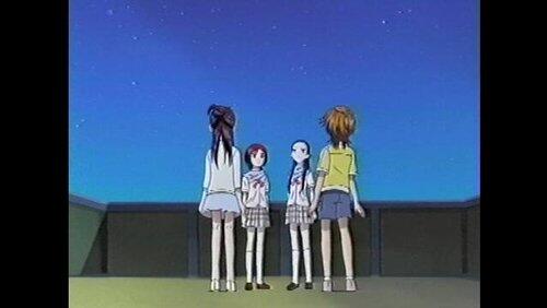 Shine in the night sky! Friends of starlight Shine in the night sky! Friends of starlight