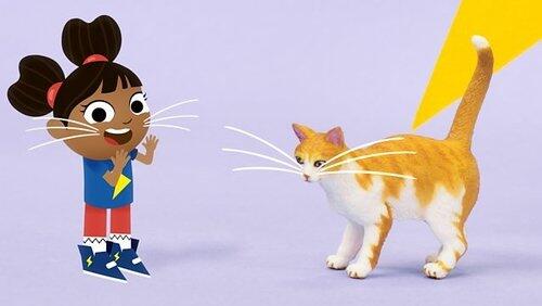 Cat Cat