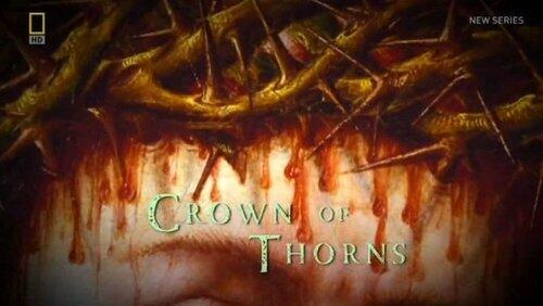 Crown of Thorns Crown of Thorns
