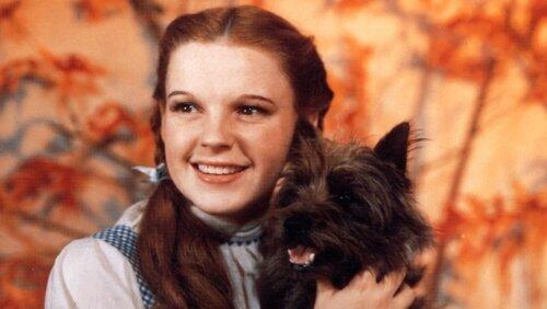 The Wizard of Oz The Wizard of Oz