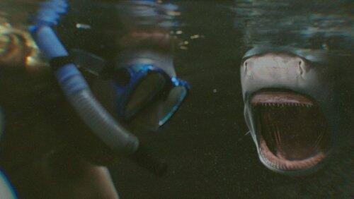 Blood In The Water Blood In The Water