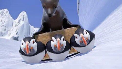 Luge Luge