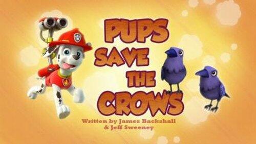 Pups Save a Satellite Pups Save a Satellite
