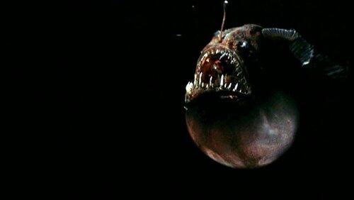 Freaks in the Ocean Freaks in the Ocean