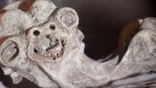 Cold Blooded Horror Cold Blooded Horror