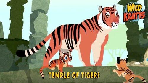 Temple of the Tigers Temple of the Tigers
