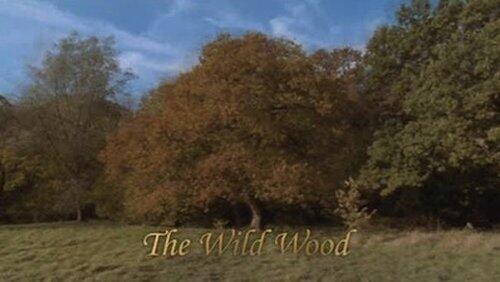 The Wild Wood The Wild Wood