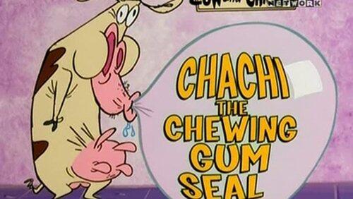 Chachi, the Chewing Gum Seal Chachi, the Chewing Gum Seal