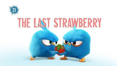 The Last Strawberry The Last Strawberry