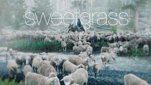 Sweetgrass Sweetgrass