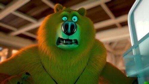 Ours polaire Ours polaire