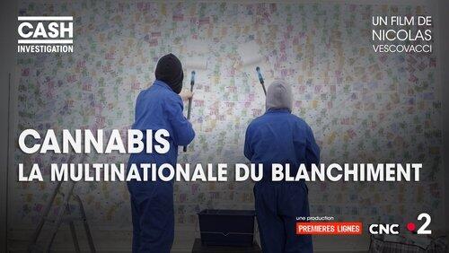 Cannabis, la multinationale du blanchiment Cannabis, la multinationale du blanchiment