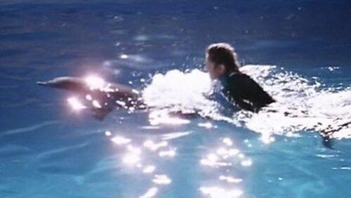 A Dolphin Song For Lee (2) A Dolphin Song For Lee (2)