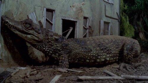 Attack of the Alligators Attack of the Alligators