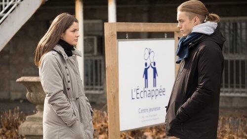 La Louve dans la bergerie La Louve dans la bergerie