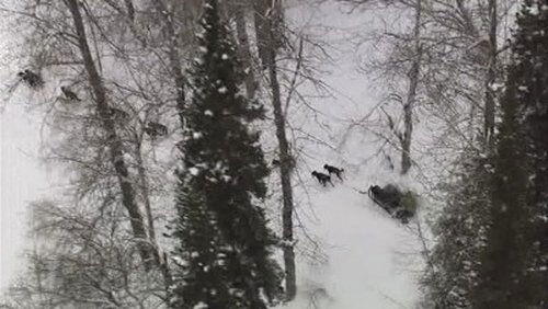 Surviving the Alaska Range