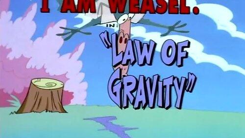 Law of Gravity Law of Gravity