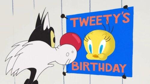 Happy Birdy to You Happy Birdy to You