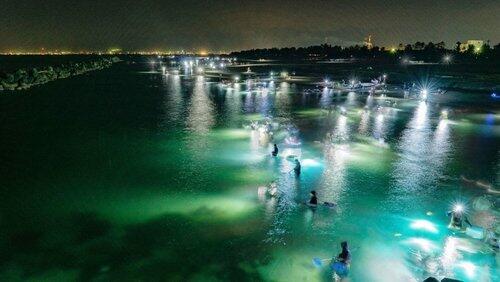 The Treasures of Toyama Bay The Treasures of Toyama Bay